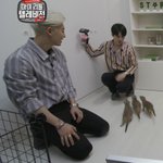 [EXO] 거친 <b>미어캣</b>과 불안한 세훈과 그걸 지켜보는 찬열