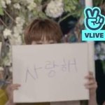 [프듀X] <b>도현</b>아 넌 데뷔야