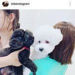 [EXO] 토벤별<b>그램</b>