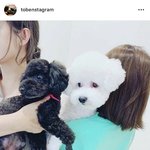 [세훈] 190714 토벤인스타<b>그램</b>