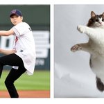 [강다니엘] 강다니엘 먐미계정ㅋㅋㅋㅋㅋㅋ