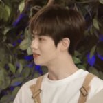 [프듀X] 프듀234 <b>예측</b> 했었는데