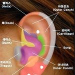 [댓글부탁해] 피어싱 <b>위치</b> 추반 좀ㅠㅠ
