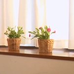 [19] 워팍에서 <b>원피스수영복</b>