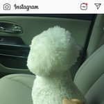 [EXO] 매니저님이 <b>비비</b> 사진 올려줘써