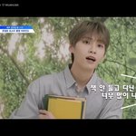 [프듀X] 이진혁 한테 왜 시비 검
