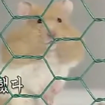아 엄마 몰래 라면 끓여 먹다가 들킴