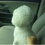 [세훈] 190714 매니저 인스타<b>그램</b>