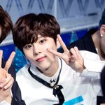 [프듀X] 애들아~~ <b>내원</b>픽 한번만 읽어줘