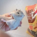 <b>초밥</b> 먹은게 매국노야?
