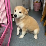 <b>입양</b>해주세요