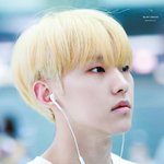 [세븐틴] 컴백 호시머리