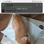 [댓글부탁해] feeling <b>like</b> in paris