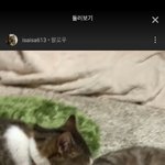 [댓글부탁해] <b>oh</b>