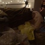 21년만에 이효리 눈에 들어온 <b>이진</b>