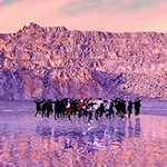 당연히 해외 로케인 줄 알았음