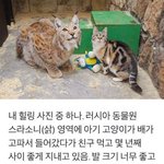 꿈파 <b>정주</b>행할건디