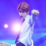 [TXT사진] 수빈