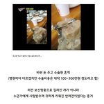 [댓글부탁해] 보신탕집 <b>개의</b> 정체 ㄷㄷ
