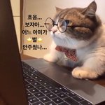 [방탄소년단] 어디 보쟈아... <b>애오</b>옹...
