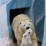 [댓글부탁해] 고3 때 <b>위탁</b> 갈 애들 있어??