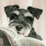 [댓글부탁해] 폭풍성장한 박지훈 반려견