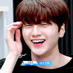 국어 1등급 가능성있는지 봐줘