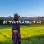 [이것좀봐줘] 맑은 <b>햇살</b>속에서 그려보는 내 모습~