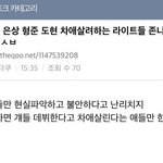 [프듀X] 능금단 들어와줘