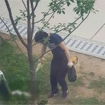 경의선 숲길 <b>잔혹</b> 살해 고양이 주인 "동영상, 차마 볼수가…"