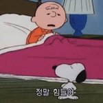 친구관계 진짜 조카 지친다
