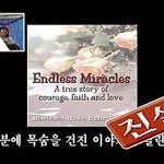 허씨 권씨들 특성