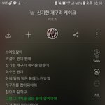 개구리케이크노래들어봤는데
