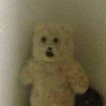 취업이랑 대학<b>진학</b>.. 인생이 걸렷삼