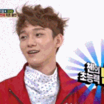 [EXO] 둘기주의) 다시보자 <b>방토</b> 종대