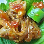 개<b>존</b><b>맛</b>