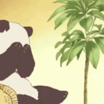 [프듀X] 투표할 연습생 영업해줘!!!!!