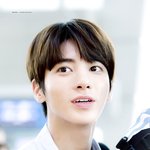 [TXT사진] 태현