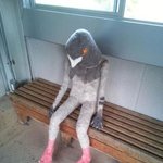 <b>심즈</b> 모바일 캐릭터 어뜨케 없애 ㅠㅠ