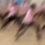 [프듀X] 강민희가 뚝딱이야??