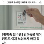 [이것좀봐줘] 반려가구에게꼭필요한거야!: )