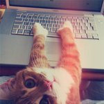 <b>집사</b>에겐 절대 허락되지 않는 사생활