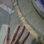 [19] <b>부산</b>사는 <b>판</b><b>녀</b>없어?