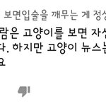 얘들아 이거 <b>뭔</b> <b>소리</b>야??