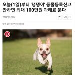 야 이거 내가̆̈ <b>예민</b>한건지 좀 봐줘