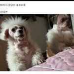 나 후회할 것 같아???