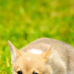 [드루와] (스압주의)스톱워치 뭐 살지 고민하는 사람 들어와