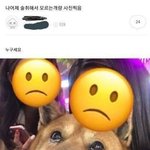 재미있는 웹툰이나 <b>썰</b> 공유하자