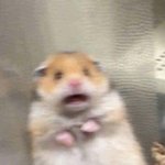 이거 얘가 고집이 쎈거냐 내가 마음이 못된거냐