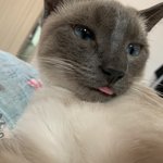 ㅋㅋㅋㅋㅋㅋㅋ아니 얘 왜이러고 있음ㅋㅋㅋㅋ